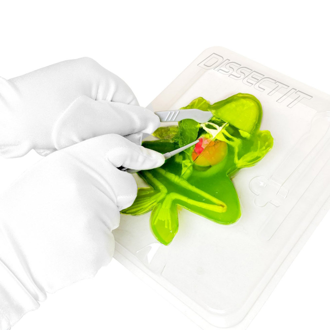 Наукові ігри, фокуси та досліди - Набір для дослідів Joker Slimy lab Анатомія тварин Жаба (38070)#2