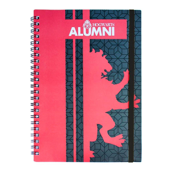 Канцтовары - Канцелярский набор Cerda Гарри Поттер Гриффиндор (CERDA-2100002756)#2