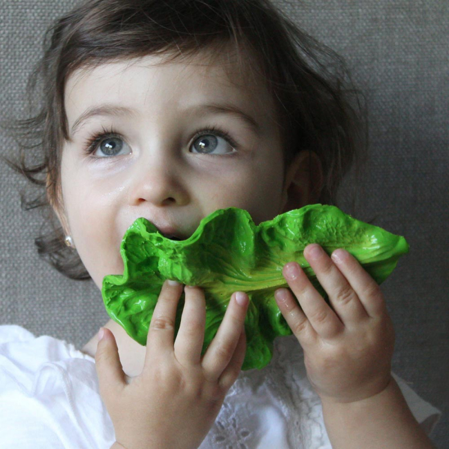 Погремушки, прорезыватели - Игрушка-прорезыватель Oli and Carol Капуста Кендл (8437015928838)#4