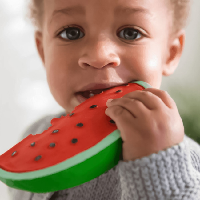 Брязкальця, прорізувачі - Іграшка-прорізувач Oli and Carol Кавун Воллі (8437015928852)#5