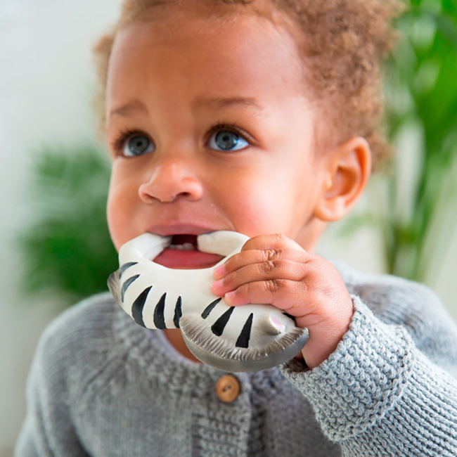 Брязкальця, прорізувачі - Браслет-прорізувач Oli and Carol Зебра Зої (8437015929033)#5