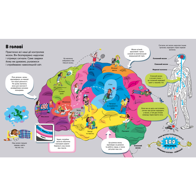 Познавательные книги (4-10 лет) - Книжка «Велика книга про тіло» Мінна Лейсі (9786177688098)#2