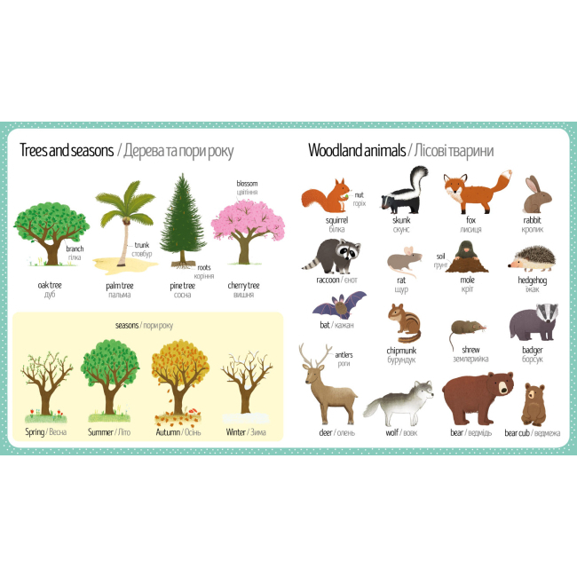 Розмальовки та актівітібуки (2-6 років) - Книжка «Мій перший словничок Природа» Голлі Беті англійською (9786177688661)#2