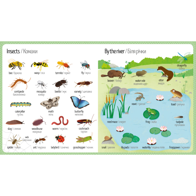 Розмальовки та актівітібуки (2-6 років) - Книжка «Мій перший словничок Природа» Голлі Беті англійською (9786177688661)#3