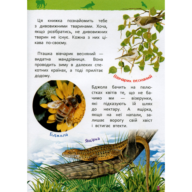 Познавательные книги (4-10 лет) - Книжка «Моя перша енциклопедія Дивовижні тварини» (121234)#2