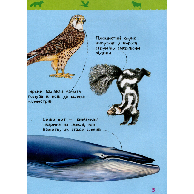 Познавательные книги (4-10 лет) - Книжка «Моя перша енциклопедія Дивовижні тварини» (121234)#3