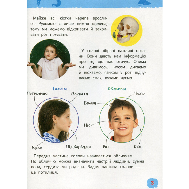 Познавательные книги (4-10 лет) - Книжка «Моя перша енциклопедія Тіло людини» (121233)#3