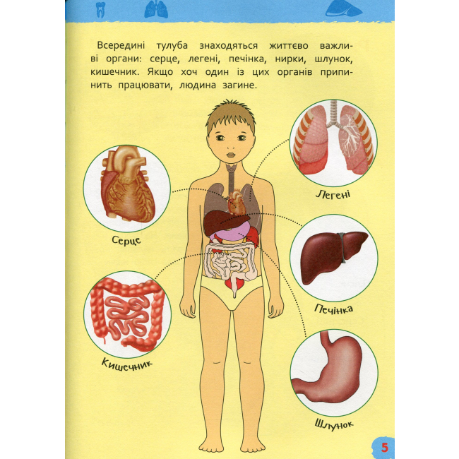 Познавательные книги (4-10 лет) - Книжка «Моя перша енциклопедія Тіло людини» (121233)#4