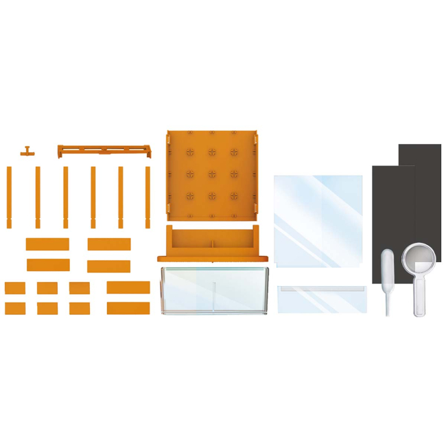 Наукові ігри, фокуси та досліди - Набір для досліджень 4M Рослинний лабіринт (00-03352)#3