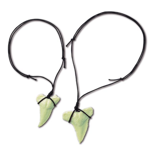 Наукові ігри, фокуси та досліди - Набір для досліджень 4M Science Сяючі зуби акули (00-05918)#3