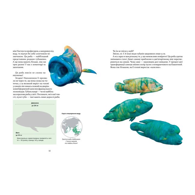 Познавательные книги (4-10 лет) - Книжка «Експедиція за дивовижними тваринами» Елена Шкаврон, Наталія Шейн  (9789669152961)#3