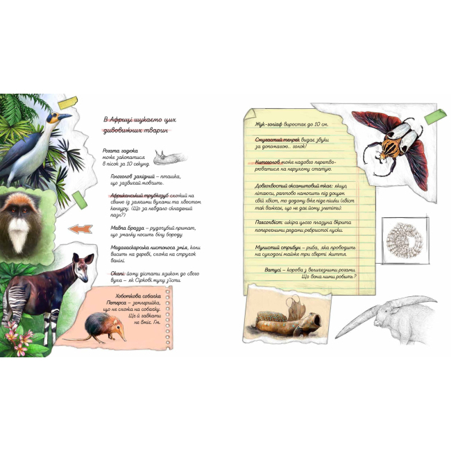 Познавательные книги (4-10 лет) - Книжка «Експедиція за дивовижними тваринами» Елена Шкаврон, Наталія Шейн  (9789669152961)#5