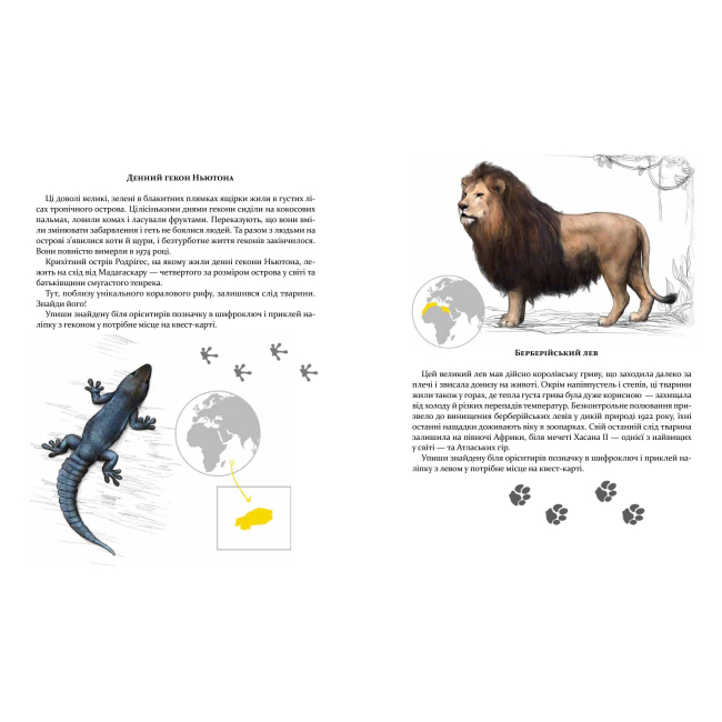 Познавательные книги (4-10 лет) - Книжка «Експедиція за дивовижними тваринами» Елена Шкаврон, Наталія Шейн  (9789669152961)#6