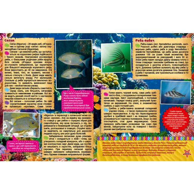 Пізнавальні книги (4-10 років) - Книжка «Підводний світ. Велика книга. Дитяча енциклопедія» Юлія Карпенко (9786175368602)#4
