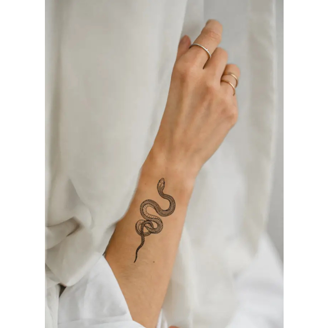 Косметика - Набір тату для тіла Tattooshka Змія (L-5)#2