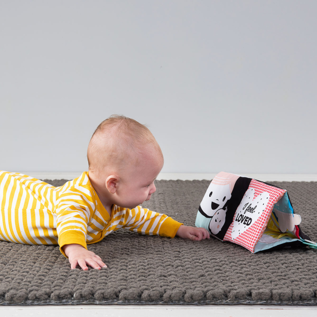 Розвивальні іграшки - Книжка-розкладушка Taf Toys Мої емоції (12545)#5