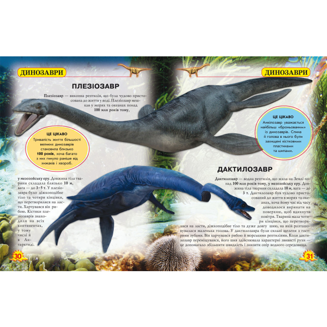 Пізнавальні книги (4-10 років) - Книжка «Світ навколо нас. Динозаври» (9789669368935)#2