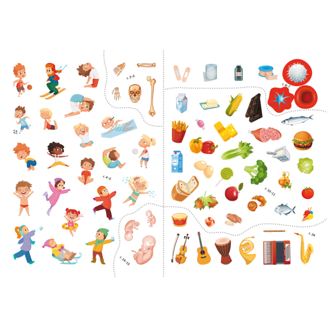 Розмальовки та актівітібуки (2-6 років) - Книжка з наліпками «Тіло людини» (9786175470466)#3