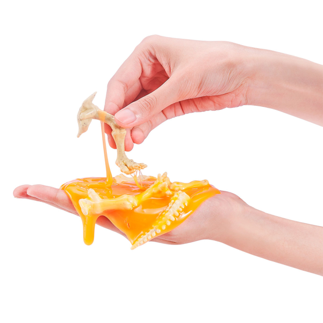 Фигурки животных - Набор-сюрприз Robo Alive Раскопки динозавра (7156)#5