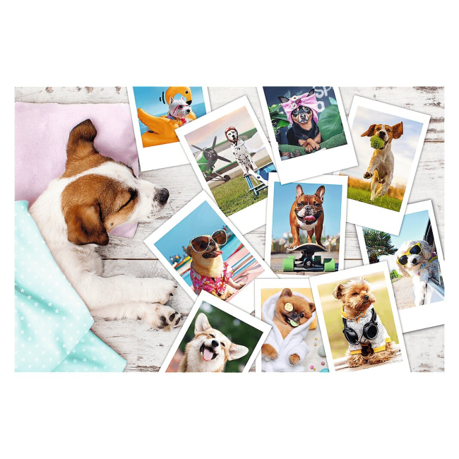 Пазли - Пазл Trefl Фото з відпустки 300 елементів (23003)#2