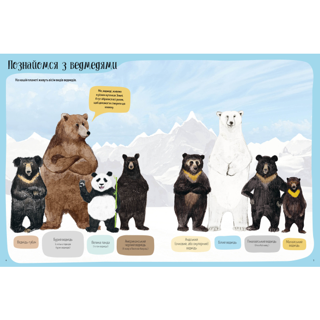 Пізнавальні книги (4-10 років) - Книжка «Ведмежа книга» Кейті Віґґерс (9786177579624)#2