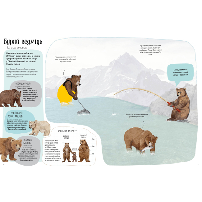 Пізнавальні книги (4-10 років) - Книжка «Ведмежа книга» Кейті Віґґерс (9786177579624)#4