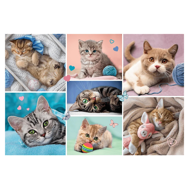 Пазли - Пазл Trefl Котики 100 елементів (16420)#2