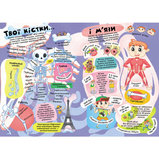 Пізнавальні книги (4-10 років) - Книжка з секретними віконцями «Все про твоє тіло» (9789669871602)#3