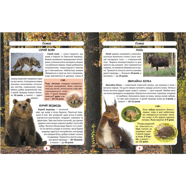Пізнавальні книги (4-10 років) - Книжка «Світ навколо нас Хто скільки живе?» (9786175470527)#2