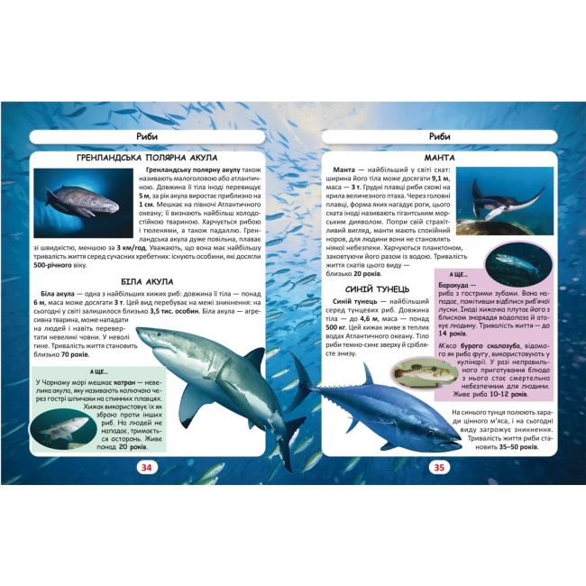 Пізнавальні книги (4-10 років) - Книжка «Світ навколо нас Хто скільки живе?» (9786175470527)#3