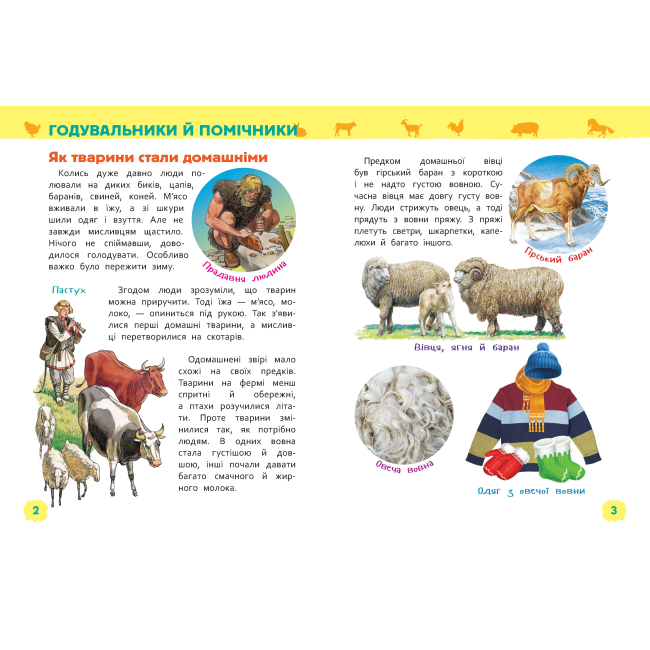 Познавательные книги (4-10 лет) - Книжка «Тварини ферми Моя перша енциклопедія» (121541)#2