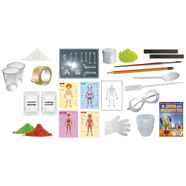 Наукові ігри, фокуси та досліди - Набір для експериментів Ranok Секрети людського тіла (12132063У)#2