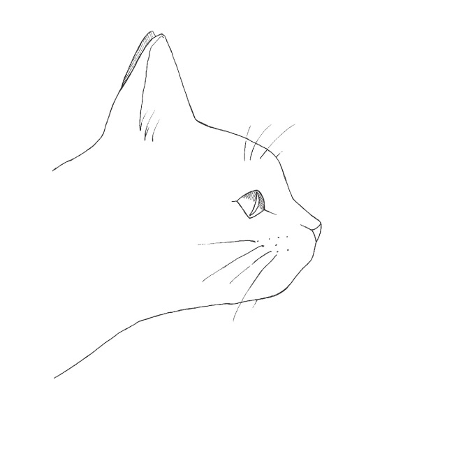 Товари для малювання - Розмальовка Жорж #girls#fashion#cats (9786177579204)#3