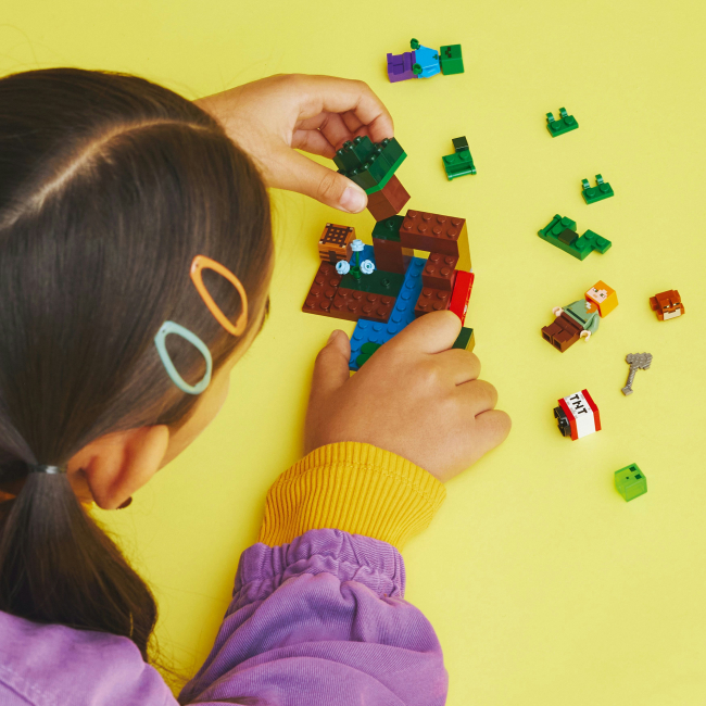 Конструктори LEGO - Конструктор LEGO Minecraft Пригоди на болоті (21240)#6