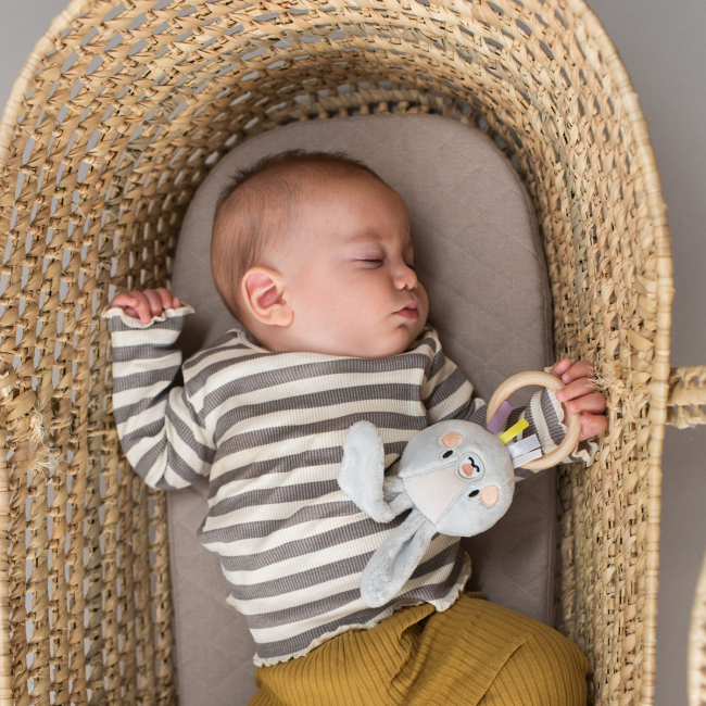 Погремушки, прорезыватели - Погремушка Taf Toys Садик в городе Кролик Райли (13025)#3