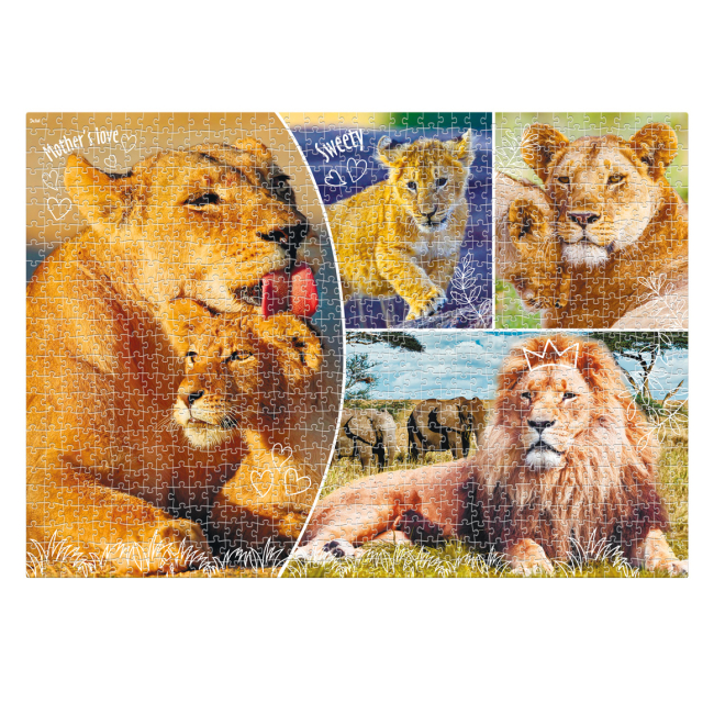Пазлы - Пазл De.tail Семья львов 1000 элементов (DT1000-01)#2