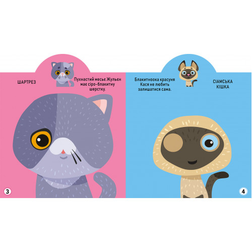 Розмальовки та актівітібуки (2-6 років) - Книжка «Грайка-розвивайка Котики 69 великих наліпок» (9789669875587)#3