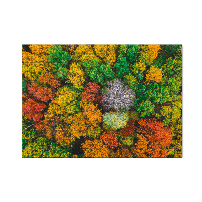 Пазли - Пазл Dodo Село Дземброня Україна 1000 елементів (301178)#2