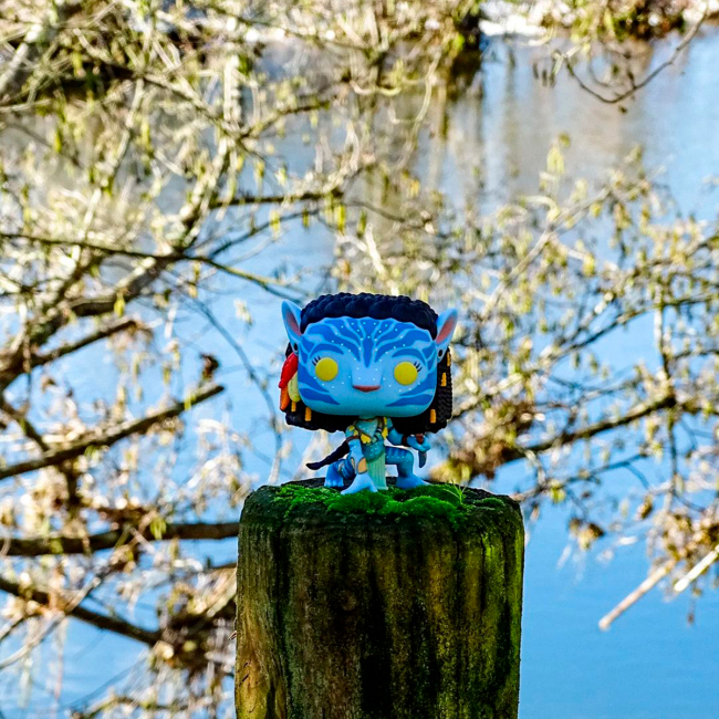 Фігурки персонажів - Фігурка Funko Pop Avatar Нейтірі (65642)#3
