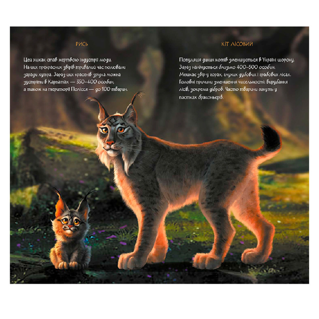 Канцтовары - Дневник Ranok Мавка Весна (9789667510831)#4