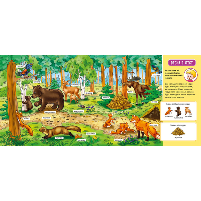 Книги для найменших (0-3 років) - Книжка «Мій перший словничок: У лісі» (9789667510749)#2