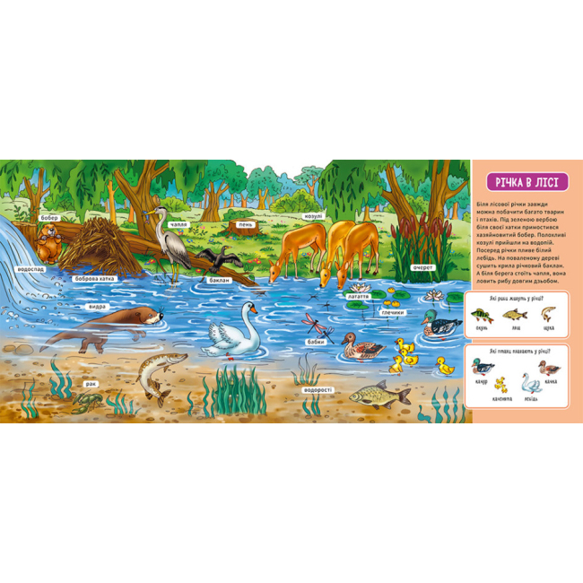 Книги для найменших (0-3 років) - Книжка «Мій перший словничок: У лісі» (9789667510749)#3