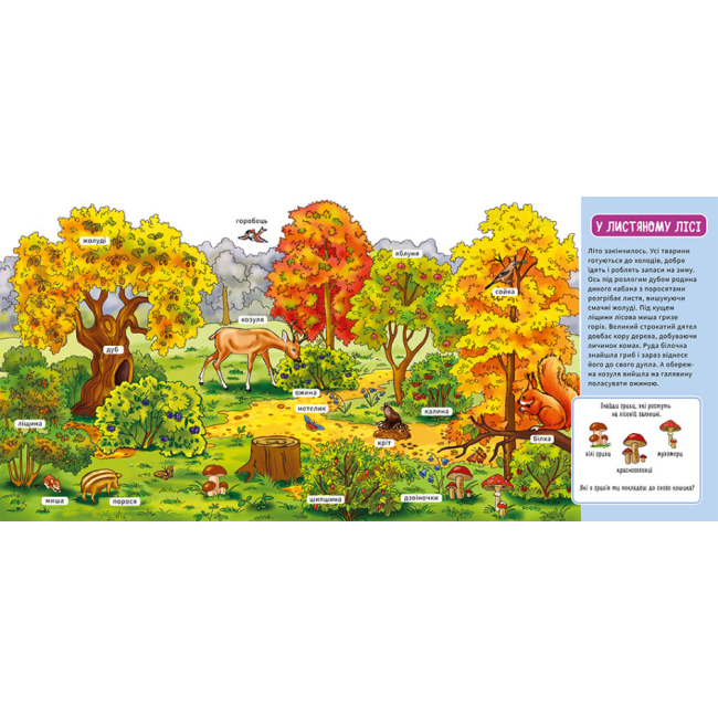 Книги для найменших (0-3 років) - Книжка «Мій перший словничок: У лісі» (9789667510749)#4