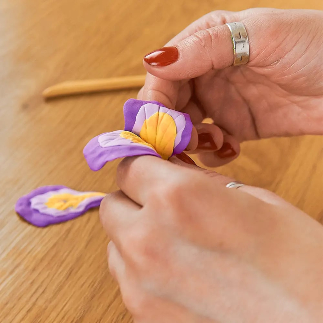 Наборы для лепки - Набор для творчества ОКТО Ирисы (10007)#5