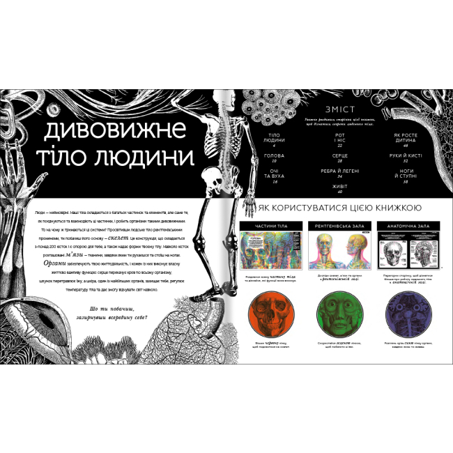 Познавательные книги (4-10 лет) - Книжка «Прихований світ людського тіла» (9786177820504)#2