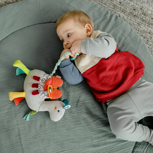 Развивающие игрушки - Развивающая игрушка Fehn Активный музыкальный верблюд (049022) (4001998049022)#4