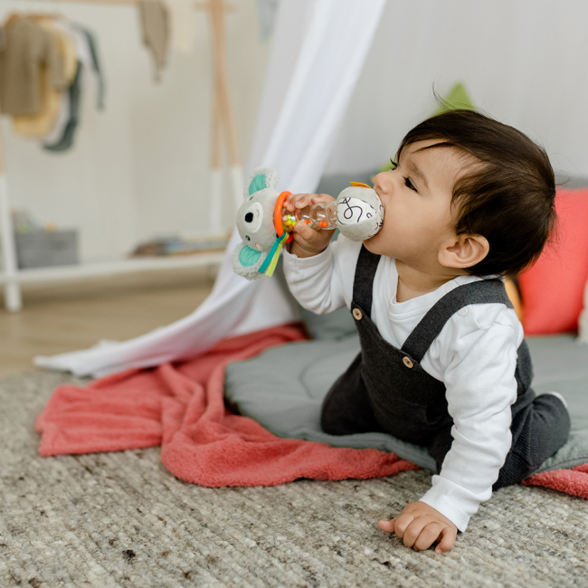 Погремушки, прорезыватели - Погремушка Fehn Коала (049053) (4001998049053)#8