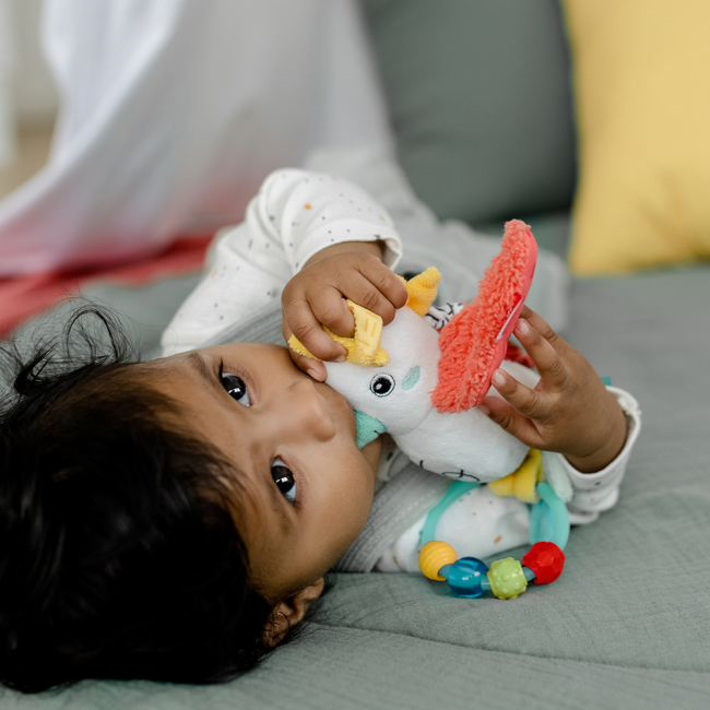 Подвески, мобили - Погремушка-подвеска Fehn Попугай (049060) (4001998049060)#6