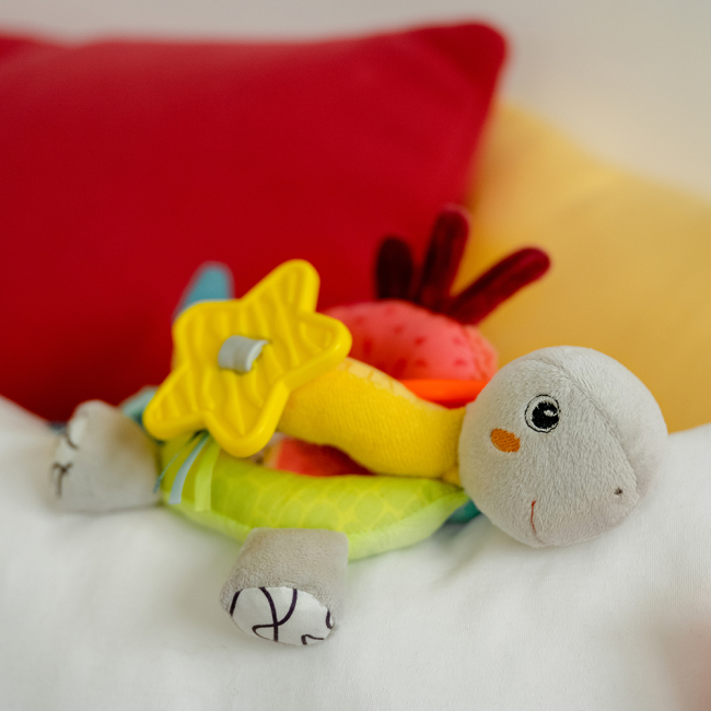 Развивающие игрушки - Развивающая игрушка Fehn Активная черепаха (049114) (4001998049114)#2