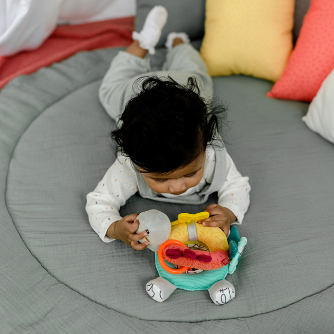 Развивающие игрушки - Развивающая игрушка Fehn Активная черепаха (049114) (4001998049114)#4